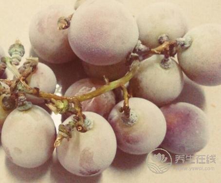 吃提子時皮澀怎么處理？4招解決方式