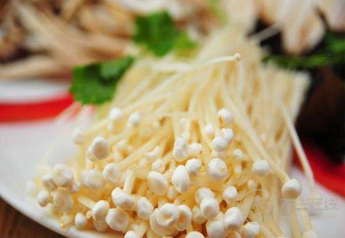 常吃金針菇，好處有這些，你懂嗎？