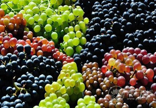 葡萄好吃營(yíng)養(yǎng)高，但也別小看了它的皮，渾身都是寶
