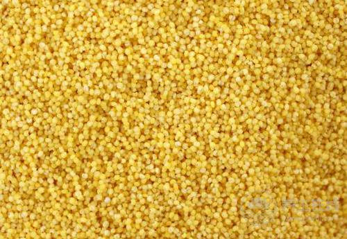 身體健康的人，一般都有這幾個飲食習慣，你占了幾個