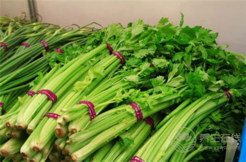 5種減脂食物放心吃，讓你瘦足一整夏！