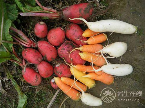 這些蔬菜生吃比煮熟后營養更加豐富