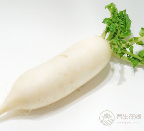 這些食物堪比人參，滋補又營養(yǎng)，你吃了嗎？