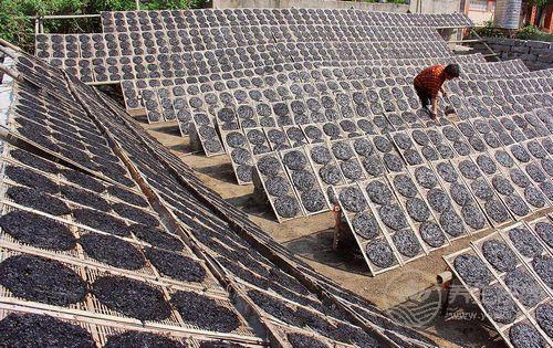 1種家常菜被稱為長(zhǎng)壽菜，抗癌降三高，人人吃得起