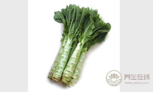萵筍養(yǎng)生好，但是跟3種東西吃最傷身！