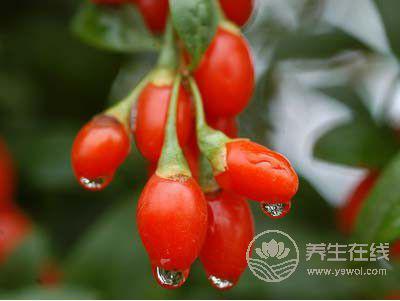 這種食物不但護(hù)眼，還可養(yǎng)肝腎、防貧血