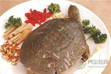 甲魚湯營養豐富，喝甲魚湯的功效是什么？
