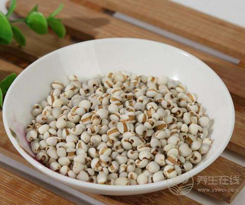 五谷雜糧的藥用價值好多人不知道！