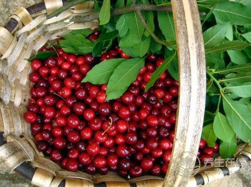 常吃7種食物，抗皺美容更顯年輕