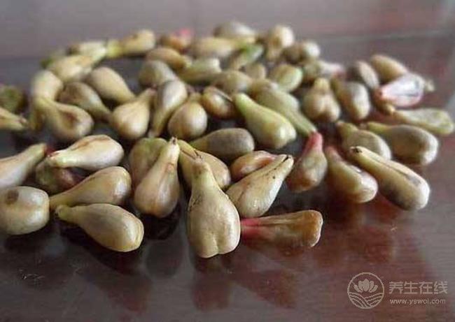 這些食物的籽對身體很好，別再扔掉了