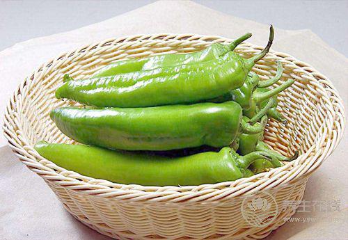 常吃青椒，對身體有這些好處，你知道嗎？