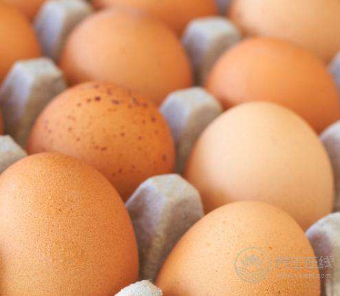 腎不好？4種食物能補腎，常吃讓腎漸漸“回力”