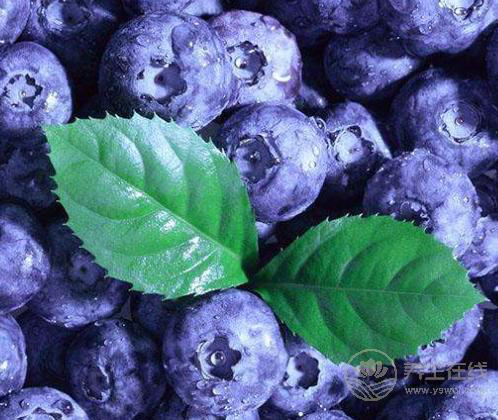 4種食物對肌膚有益，愛美的人別錯過