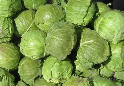 這幾種蔬菜是天然“胃藥”，胃不好可常吃