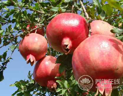 學會4招,天天吃甜食也不會胖