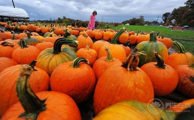 愛吃火鍋的小伙伴們須知：羊肉不能和什么一起吃？