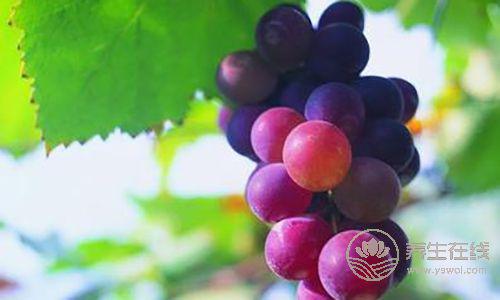 這5種水果皮效果驚人，吃完別再丟了！