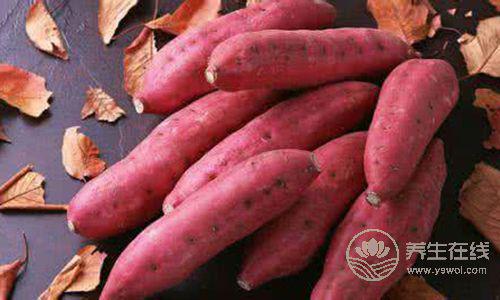 抗癌第一菜是它！人人都見過，但要這么吃才有效