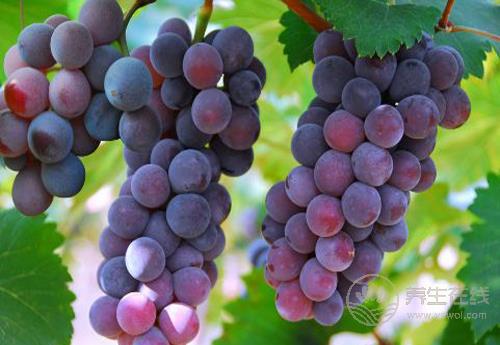 葡萄好吃營(yíng)養(yǎng)高，但也別小看了它的皮，渾身都是寶