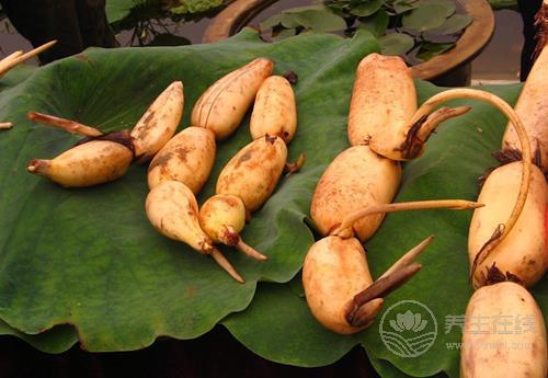 吃蓮藕的好處有這些，給你總結好了，你喜歡吃嗎？