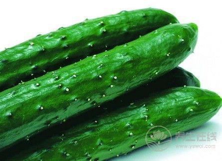 5種減脂食物放心吃，讓你瘦足一整夏！