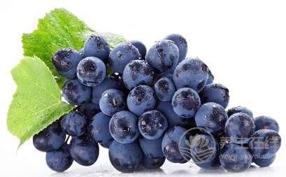 吃梨能降血脂 這些平凡食物也能降血脂 吃梨能降血脂 這些平凡食物也能降血脂