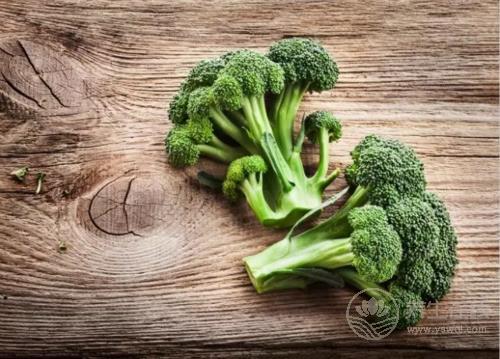 5種減脂食物放心吃，讓你瘦足一整夏！