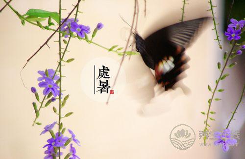 處暑養生要做的9件事 做好不生病