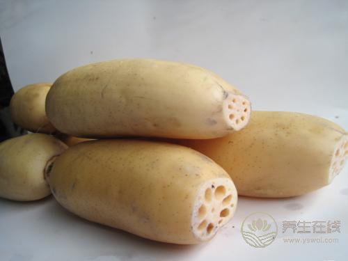 養(yǎng)生食譜蓮藕 養(yǎng)生食譜蓮藕