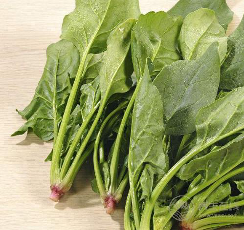 4種食物對肌膚有益，愛美的人別錯過