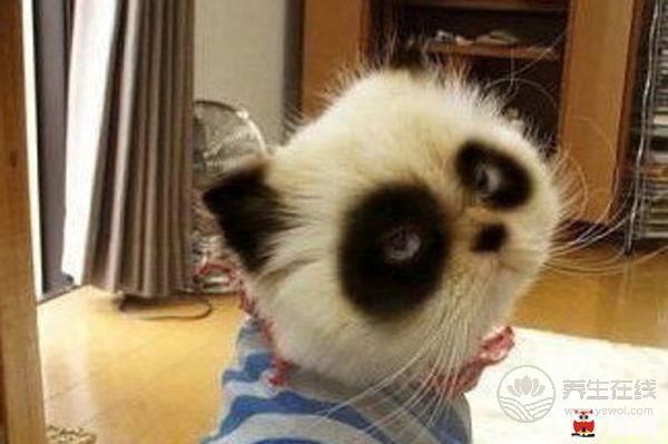 以為有黑眼圈就是睡眠不足？很多人都錯了