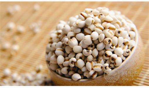 健脾祛濕不麻煩, 食療妙招來幫忙