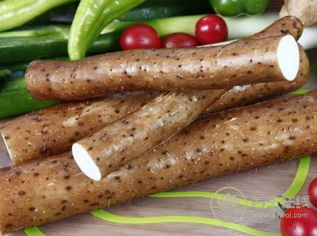 清腸健脾養(yǎng)胃，快用這些小妙招！