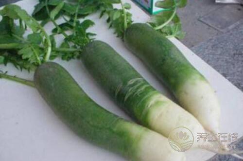 冬吃蘿卜，抗衰老又防癌，多讓它出現在廚房