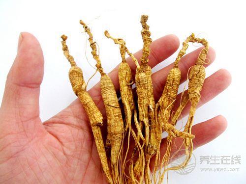 介紹野山參的吃法和禁忌，會吃更滋補