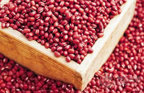 健脾祛濕不麻煩, 食療妙招來幫忙