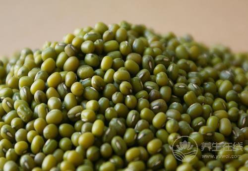 6月易上火？這些食療方能幫你清熱去火