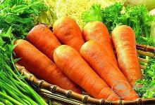 蘿卜是個好東西，但是不同的蘿卜有不同的功效，別吃錯了