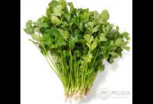 香菜是個寶，健胃消食營養豐富，可惜很多人不愛吃
