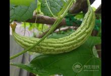 這些秘訣能讓體內(nèi)毒素排干凈!