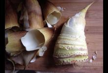 吃冬筍的作用超強大，這些好處都想不到