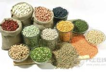 五谷加大棗勝過人參靈芝