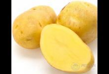 巧吃3種蔬菜，預(yù)防大小病，身體更健康　