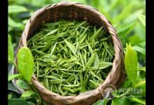 多吃7種“排毒”食物清光體內垃圾