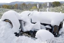 大雪養(yǎng)生|您不得不看的食療益氣補血養(yǎng)生法