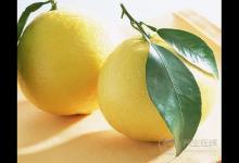 經常吃柚子，竟有6種好處！