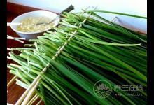 韭菜的功效有哪些?韭菜的食用禁忌有哪些?