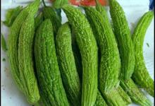 這些瓜，養生作用大，別忘了要多吃