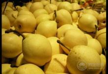 經?？人裕３?種食物，清肺潤肺不再咳咳咳