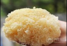 適合女性的食物，常吃能滋潤肌膚有光澤